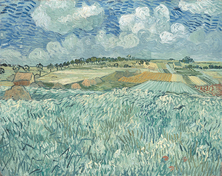 Plain Near Auvers Van Gogh Oil Painting